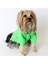Love Nakışlı Kapşonlu Pet Sweatshirt Yeşil Köpek Kedi Hoodie 2