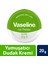 Lip Therapy Dudak Nemlendirici Aloe Vera 20 gr 1