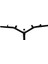 Wing 50 i Gidon (2020-2022) 1