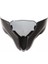 Pulsar 160 Ns Orjinal Siperlik Camı 1