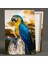 Macaw Papağanı Renkli Güzel Kuş Kanvas Tablo 2
