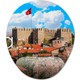 Seçili Renk Marjinal