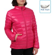 Icepeak Pembe Kadın Outdoor Montu 53212 815 655