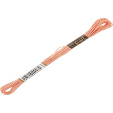 Anchor Muline Nakış İpliği 0882