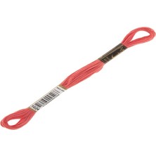 Anchor Muline Nakış İpliği 1024