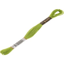 Anchor Muline Nakış İpliği 0255