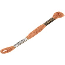 Anchor Muline Nakış İpliği 0369