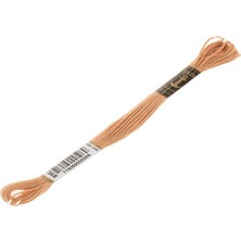 Anchor Muline Nakış İpliği 0368