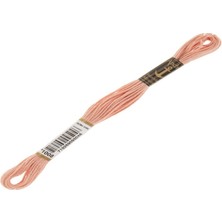 Anchor Muline Nakış İpliği 1008