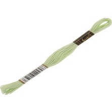 Anchor Muline Nakış İpliği 1043