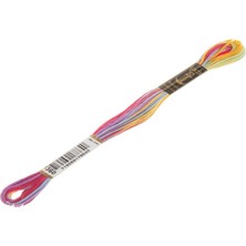 Anchor Muline Nakış İpliği 1360