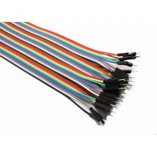 China 40 Pin Ayrılabilen Dişi-Erkek Jumper Kablo-300 Mm