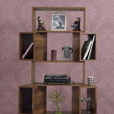 Pasific Home Box Hareketli Kutulu Raflı Kitaplık,Ceviz