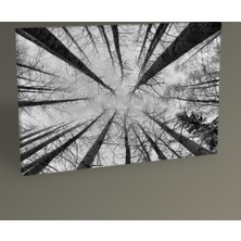 Tablo 360 Look Up Tablo 30 x 20 cm