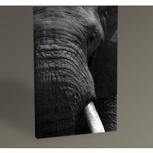 Tablo 360 Fil Tablo 30 x 20 cm