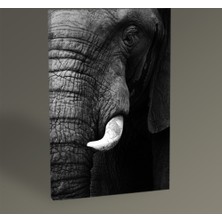 Tablo 360 Elephant Tablo 30 x 20 cm