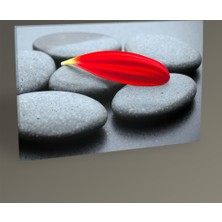 Tablo 360 Siyah Taş Ve Kırmızı Yaprak 30 x 20 cm