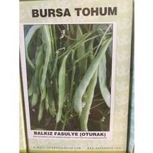 Bursa Tohum Balkız Fasulye / Oturak / 1 Kg