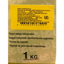 Bursa Tohum Balkız Fasulye / Oturak / 1 Kg