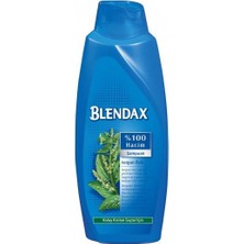 Blendax Isırgan Özlü Şampuan 650 ML