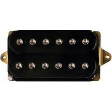 Dımarzıo Dp201Bk Al Dımeola Neck Manyetik