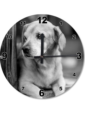 Cakasepetim Yavru Köpek Ahşap Duvar Saati
