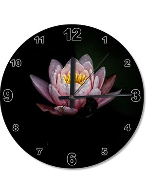 Cakasepetim Pembe Nilüfer Çiçeği Ahşap Duvar Saati