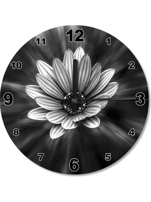 Cakasepetim Papatya Ahşap Duvar Saati