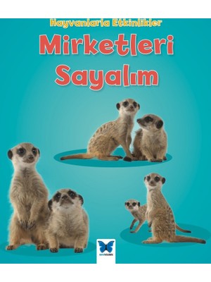 Mirketleri Sayalım