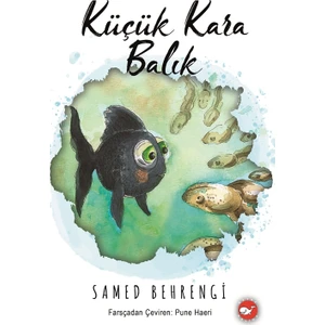 Küçük Kara Balık - Samed Behrengi