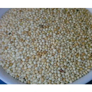 Sağlık Tarım Ürünleri Muhabbet Yemi Ak Darı 10 Kg