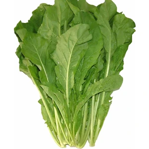 Paşa Tohumculuk roka Tohumu - Bengi 25 Gr