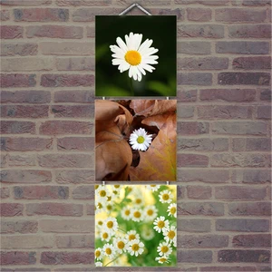 Ahşap Tablo Papatyalar Baskılı 14X14 Cm 3 Parça
