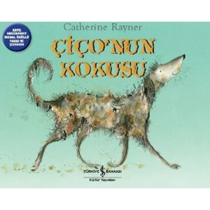 Çiço’Nun Kokusu