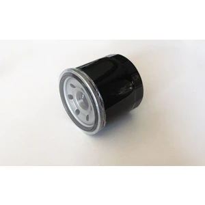 Suzuki GW 250 INAZUMA  Yağ Filtresi HF138 (2012-2016)