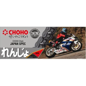CHOHO   Zincir 428 110L