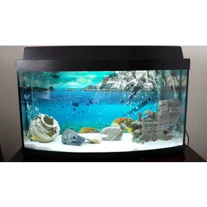 Erhan Gül Beyaz Silis Akvaryum Kumu 5 Kg