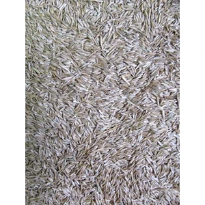 Green King Green King 6Lı Karışım Çim Tohumu 1Kg Aktarzane