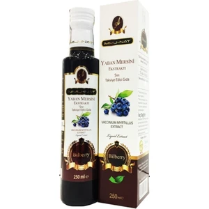 Yaban Mersini Ekstraktı 250 ml Sıvı Ekstresi 2 Kutu