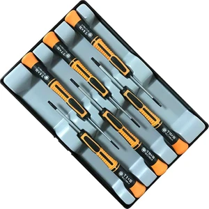 Eb0603P Saatçi Tornavida Takımı Delikli Torx Uçlu 6 Parça