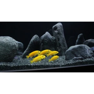 Kanki Pet Akvaryum Kumu Bazalt 2 - 3 mm Bitki kumu 10 Kg