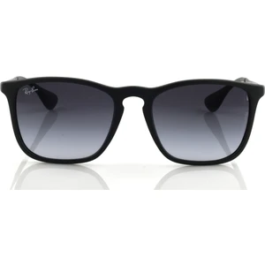 Rb4187 622/8G54 Unisex Güneş Gözlüğü