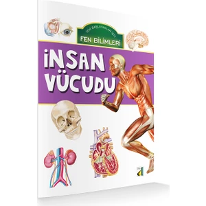 İnsan Vücudu