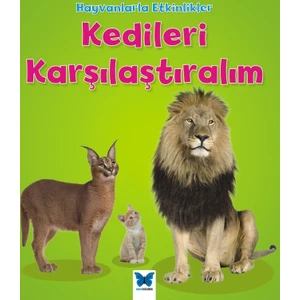Kedileri Karşılaştıralım