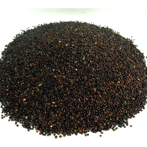 Aktarzane Siyah Hardal Tohumu Kara Hardal Tohumu 250gr