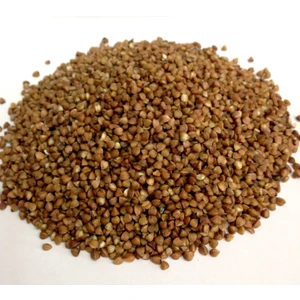 Aktarzane Karabuğday Greçka Kara Buğday 1Kg