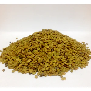 Aktarzane Tane Çemen Otu Poy Boy Otu 100gr