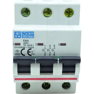 10A (3X10A) C/3Ka Grup W Otomat