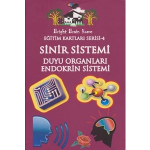 Eğitim Kartları Serisi-4: Sinir Sistemi Duyu Organları-Endokrin Sistemi