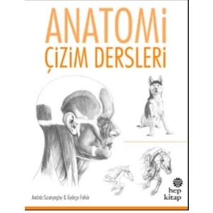 Anatomi, Çizim Dersleri